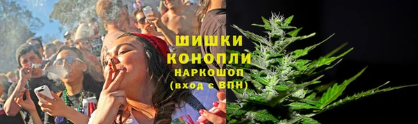 шишки Вяземский