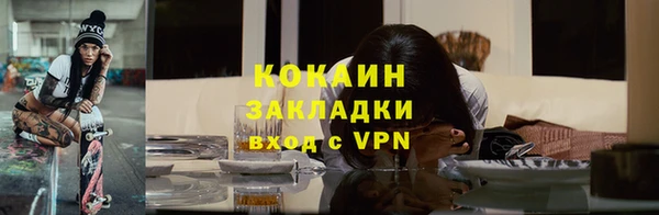 шишки Вяземский