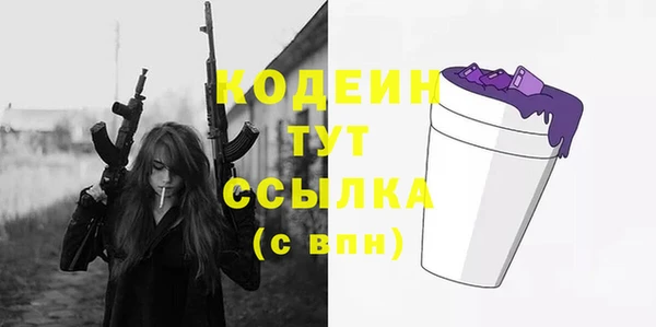 шишки Вяземский