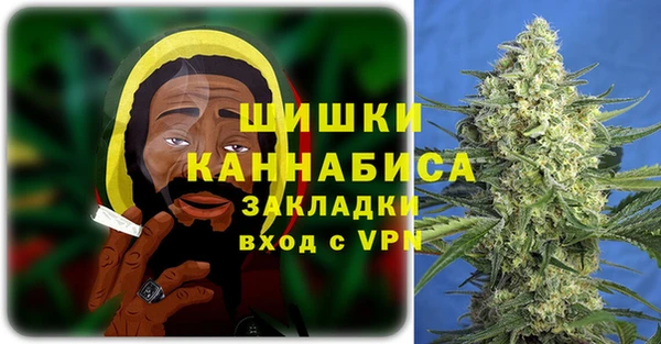 шишки Вяземский