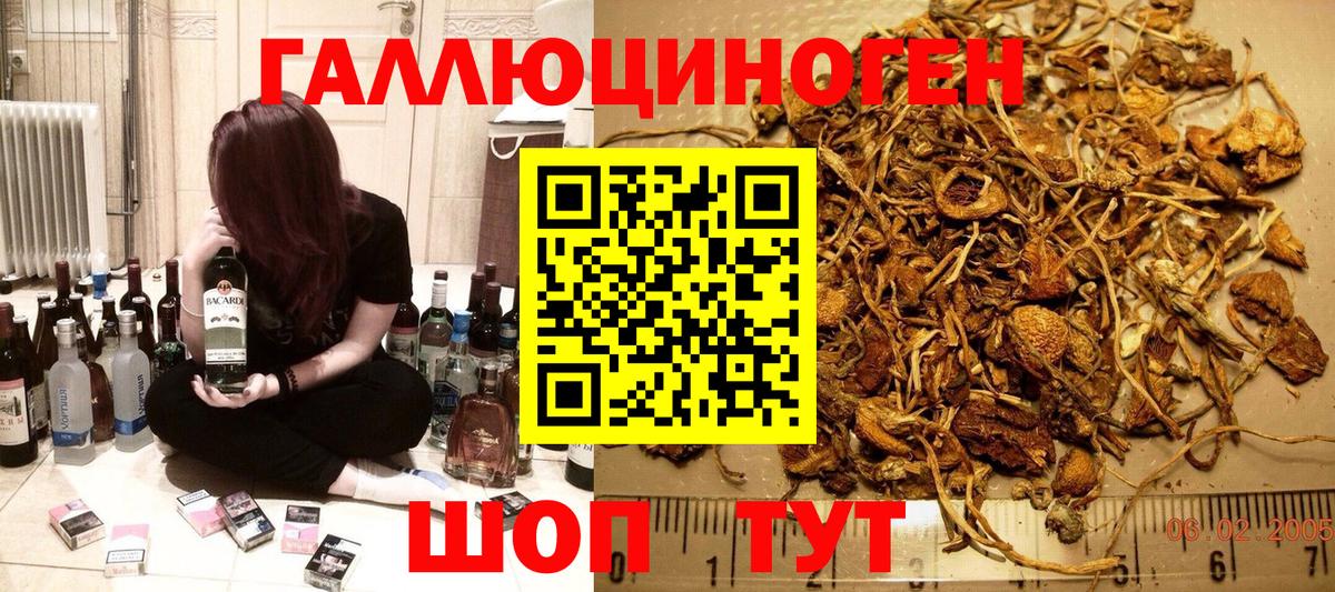 Галлюциногенные грибы мухоморы  Вход с VPN  Междуреченск 