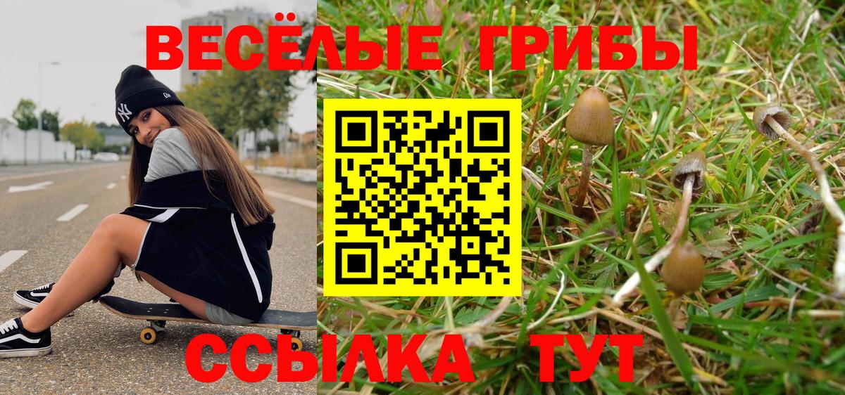 Галлюциногенные грибы мицелий Междуреченск