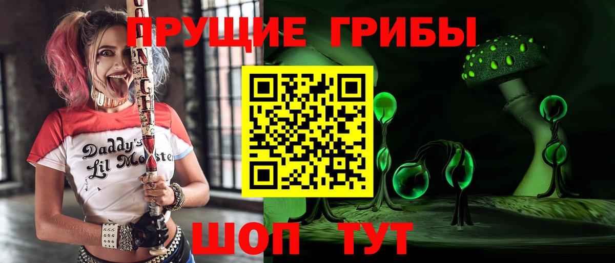 Псилоцибиновые грибы Cubensis  наркошоп  Междуреченск 